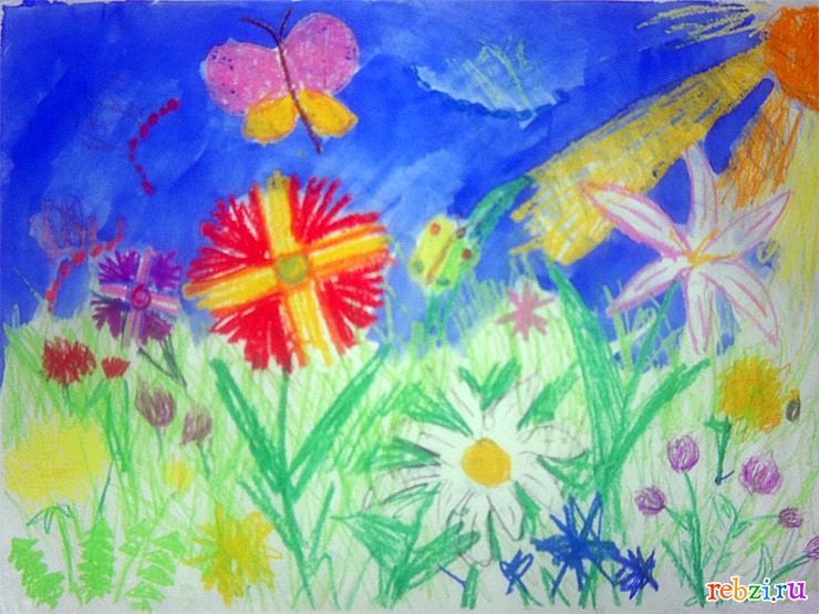 Раскраска для взрослых Ромашки на поле (BRM7077)