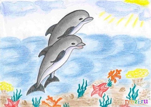 Раскраски Дельфин