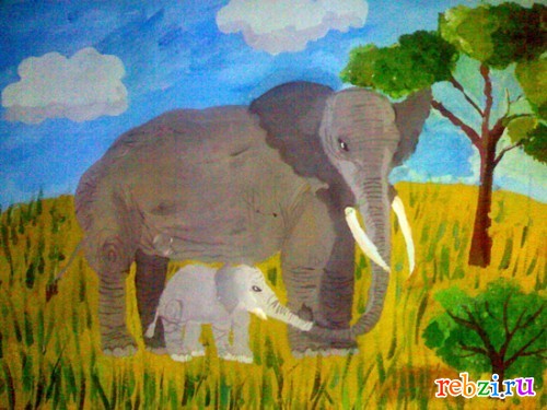 Раскраска Слон для детей: 17 разукрашек