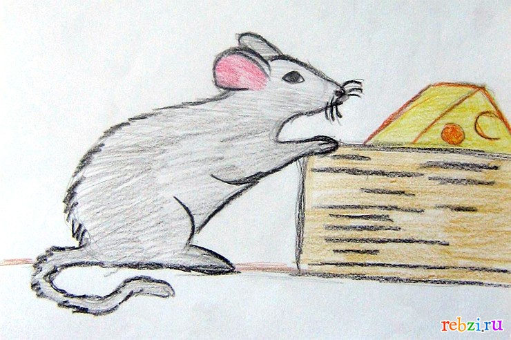 Раскраска маленькие мышки - 62 фото