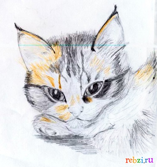 Детские рисунки Кот, или я бросаю рисовать — блог на